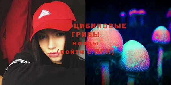 ГАЛЛЮЦИНОГЕННЫЕ ГРИБЫ Магадан