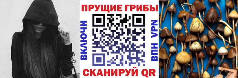 Псилоцибиновые грибы MAGIC MUSHROOMS  продажа наркотиков  Хвалынск 